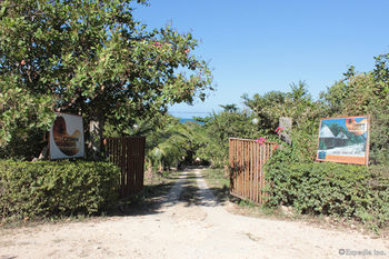 Cashew Grove Beach Resort Busuanga Esterno foto